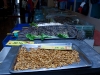 Crocodile and Silkworms in Restaurant in Foshan, China